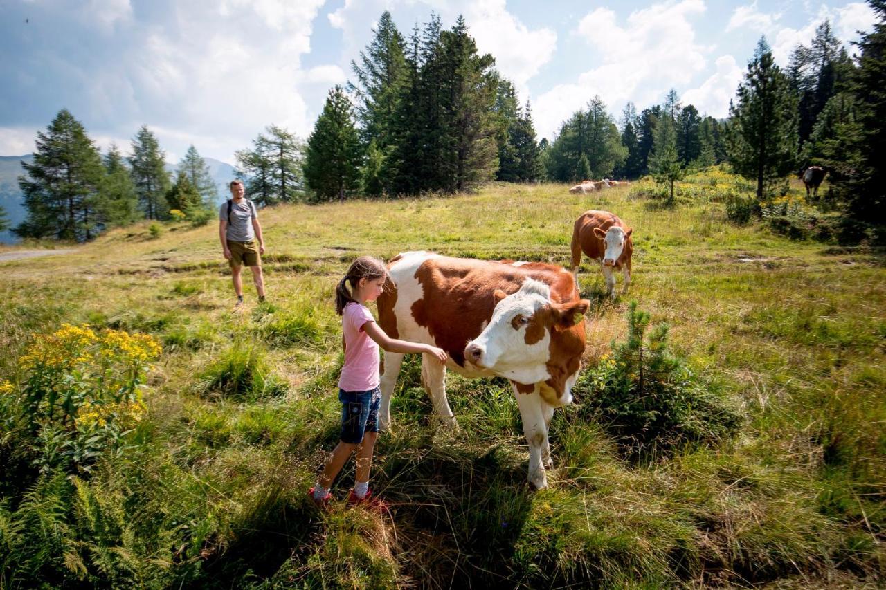 Naturpark Huette Mandl, Biobauernhof & Huettenurlaub ザンクト・ランブレヒット エクステリア 写真