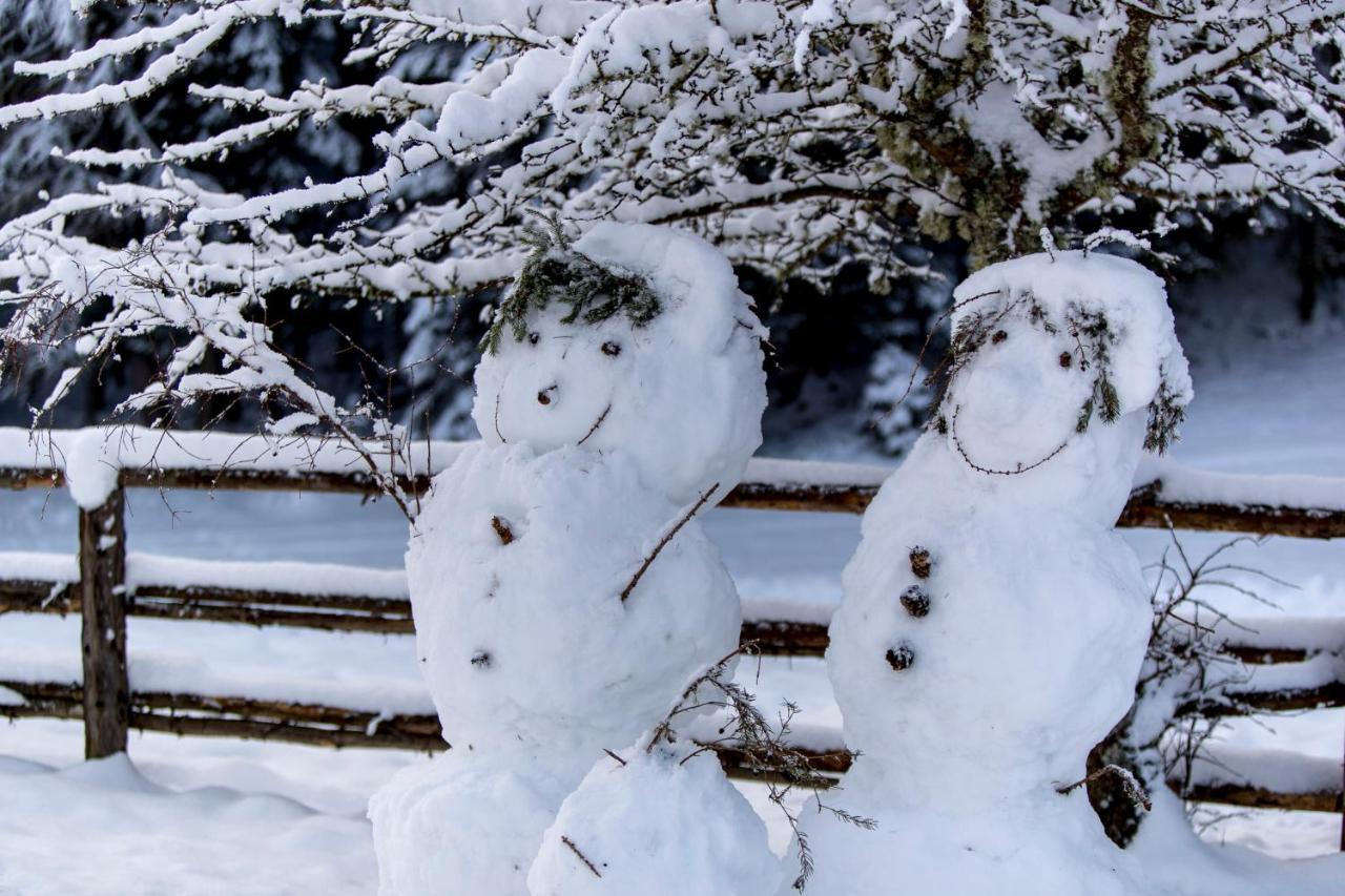 Naturpark Huette Mandl, Biobauernhof & Huettenurlaub ザンクト・ランブレヒット エクステリア 写真