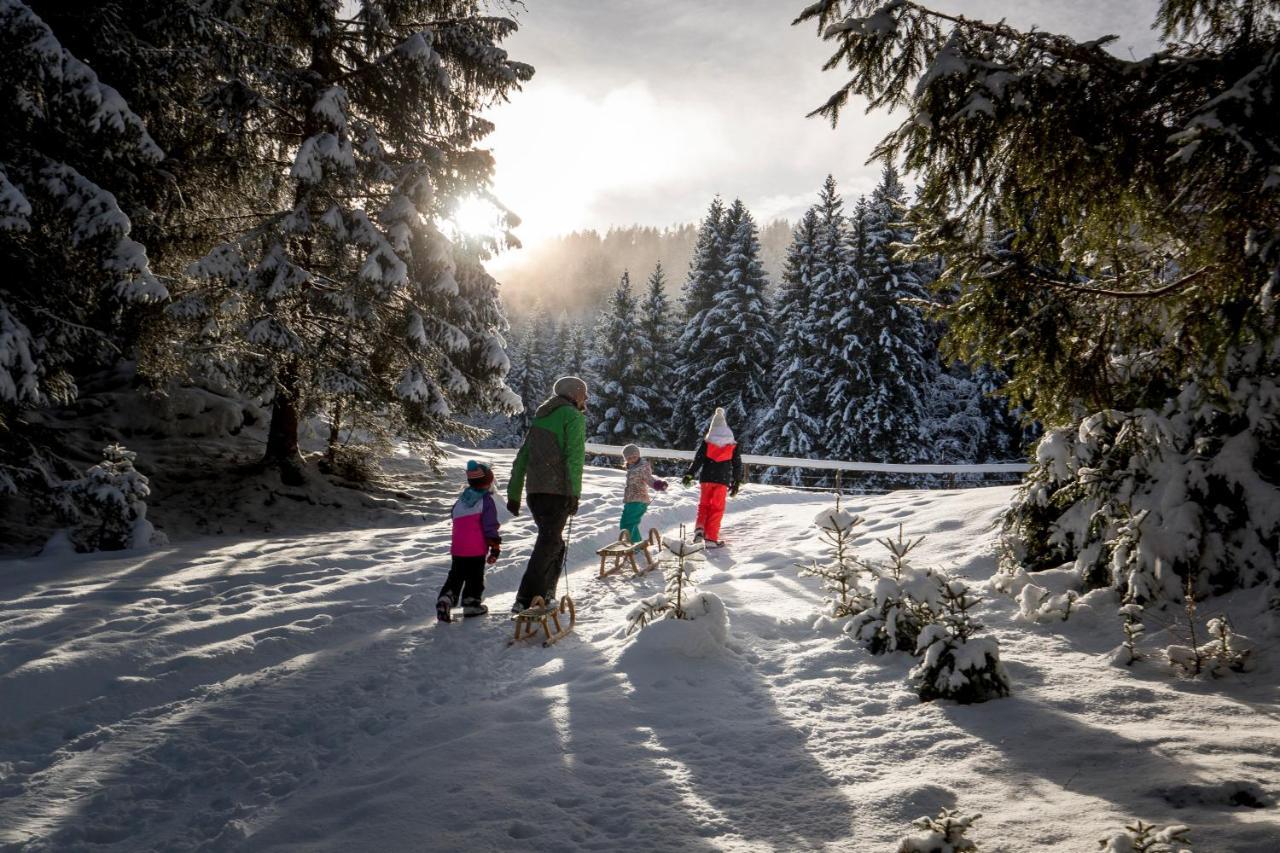 Naturpark Huette Mandl, Biobauernhof & Huettenurlaub ザンクト・ランブレヒット エクステリア 写真