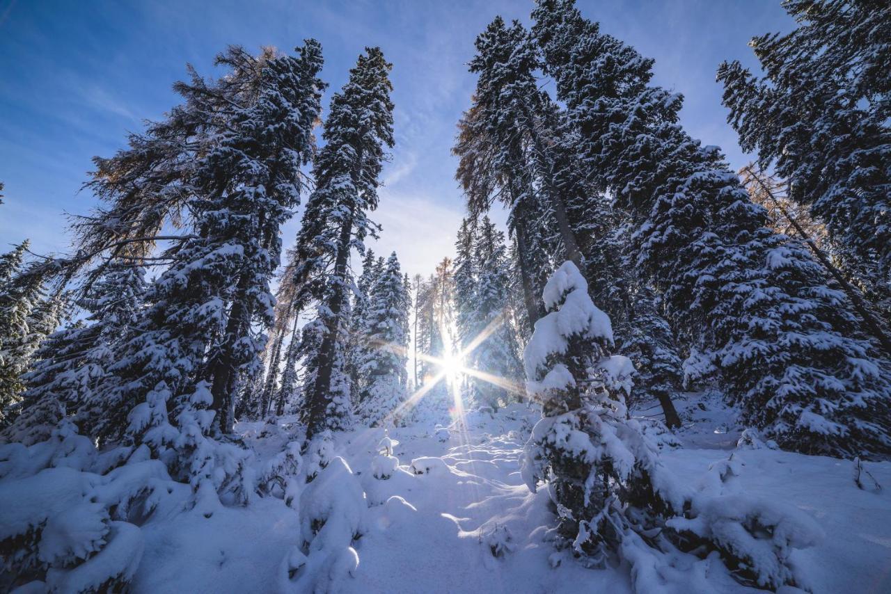Naturpark Huette Mandl, Biobauernhof & Huettenurlaub ザンクト・ランブレヒット エクステリア 写真